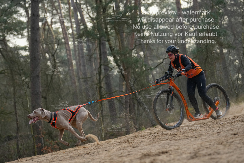 Scooter1-176 | stephaniefillaphotographie - Realisiert mit Pictrs.com