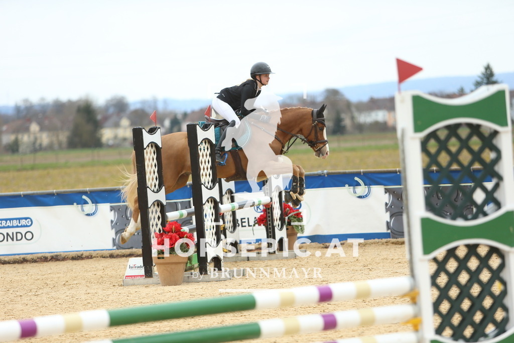 DL2Q1500 | Willkommen bei Brunnmayr - Design & Fotografie – Ihrem Spezialisten für Reitturniere und Pferdeveranstaltungen in Oberösterreich, Salzburg und Bayern! Seit über 17 Jahren sind wir leidenschaftlich dabei.