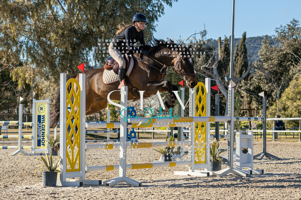 IMG_1971 | s-jay-photography - Realisiert mit Pictrs.com