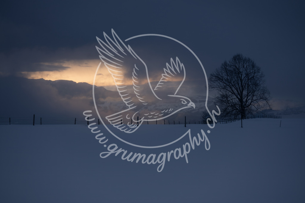 the edge of stillness - switzerland | Authentische Landschafts- & Wildtierfotografie aus der Schweiz. Hochwertige Wandbilder, Fine-Art-Prints und Wunschmotive nach Auftrag – sorgfältig entwickelt im Grumagraphy-Style
