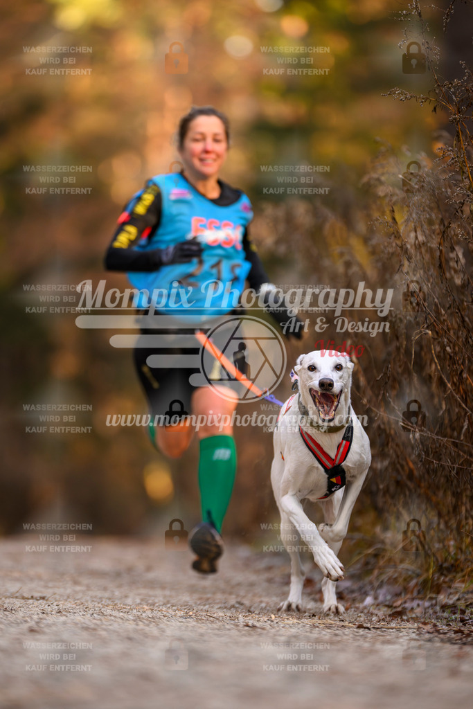 MompixPhotography_DM_AKDM_SO_2025_-53 | PayLife