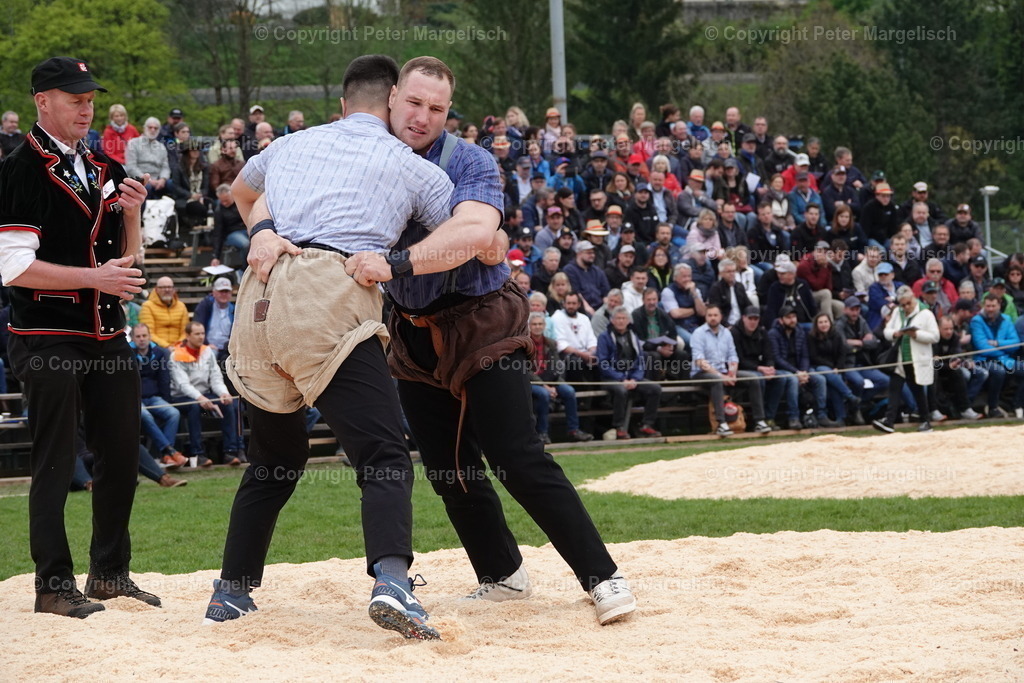 DSC03222 | Schwingen - Realisiert mit Pictrs.com