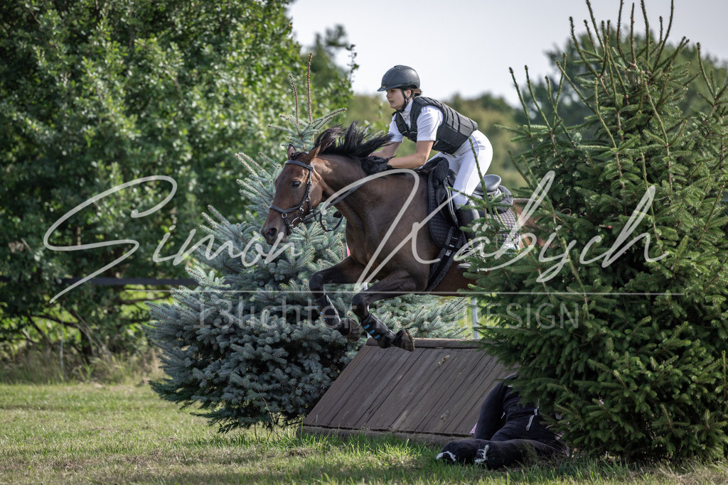 20250907-_3LI9562 | Tierfotografie Pferde, Hunde, Katzen, Haustiere.
Turnierfotografie Reitturniere, Reiten, Springreiten, Dressur in Hanau, dem Main-Kinzig-Kreis und dem Rhein-Main- Gebiet um Frankfurt