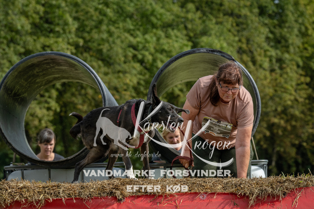 1141_ZZ90123 | kk-dogfotos