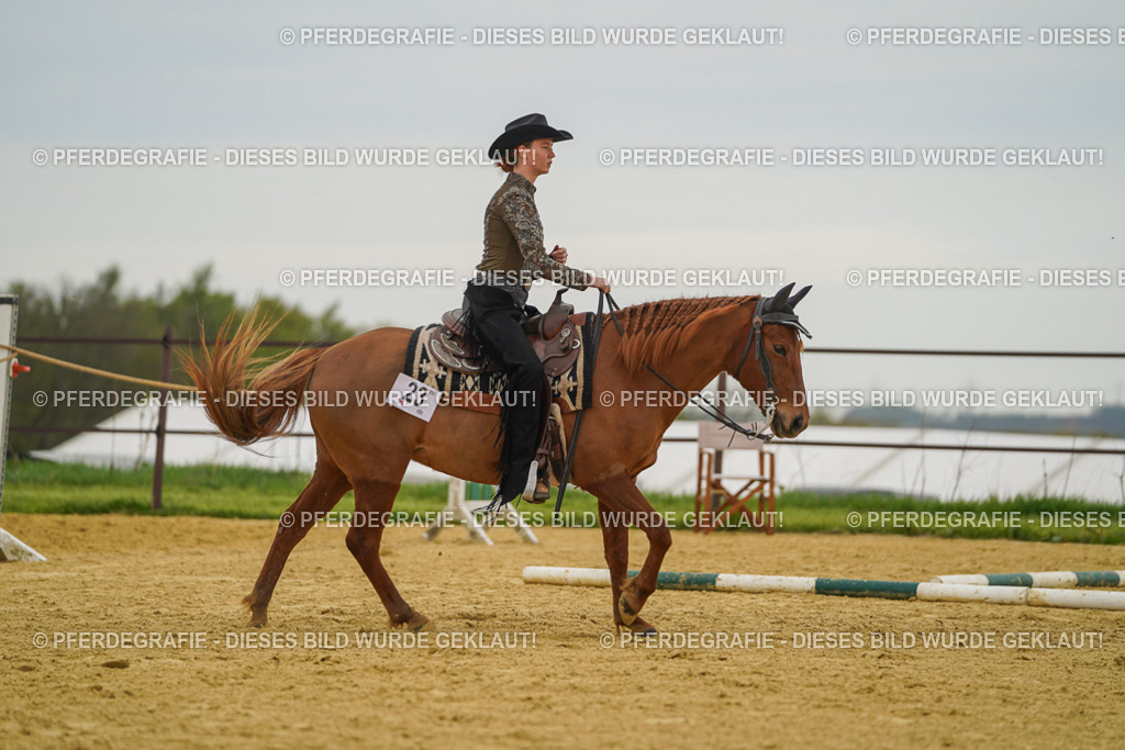 DSC02619 | Pferdegrafie