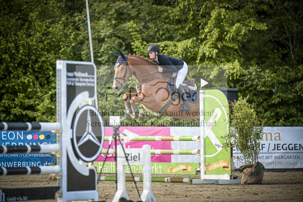 DOS_8674 | Entdecke hochwertige Reitturnierfotos von Foto Oger. Professionell, emotional und authentisch – jetzt Lieblingsmomente im Shop bestellen.Deutschlandweite Turnierfotografie. - Realisiert mit Pictrs.com