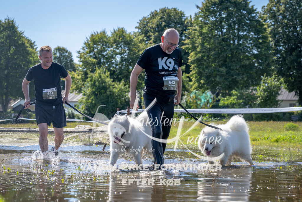 1253_ZZ90537 | kk-dogfotos