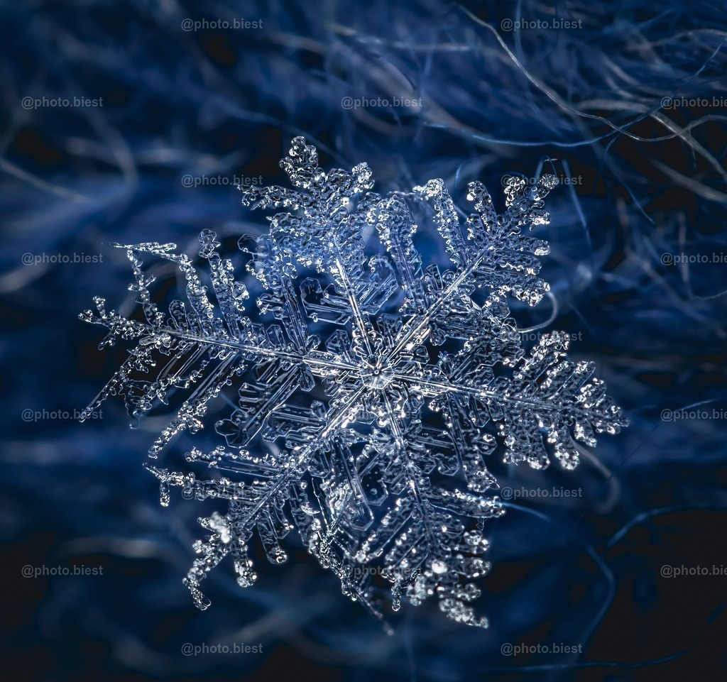 Schneeflocke #9 | Eine (von vielen) filigranen Schneeflocken in meinem ersten Makro-Schneeflocken-Winter. - Realisiert mit Pictrs.com