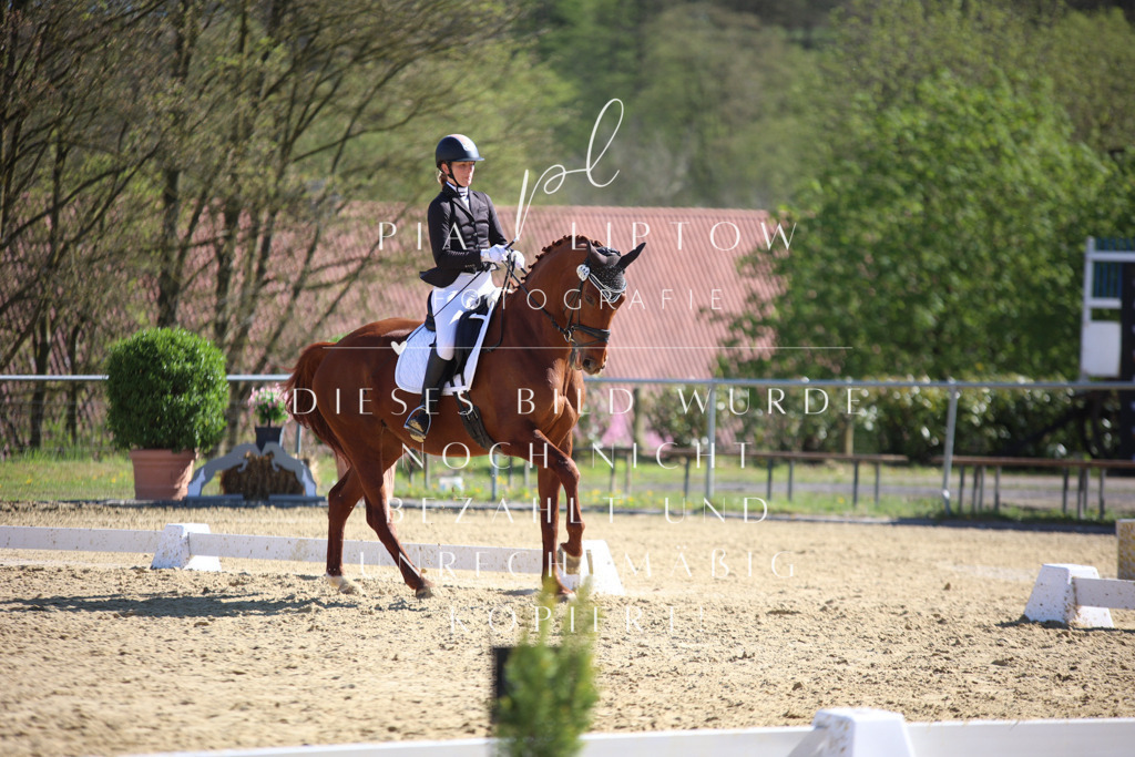 IMGT8717 | pl-fotografie