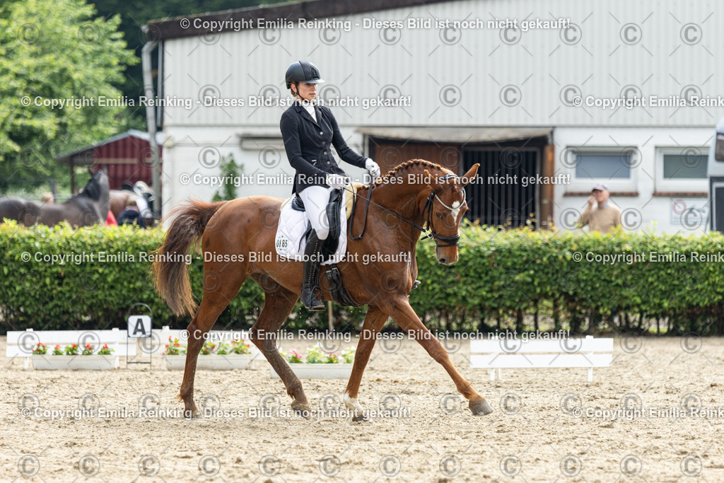 CL5A4545 | Emilia Reinking Fotografie - Realisiert mit Pictrs.com