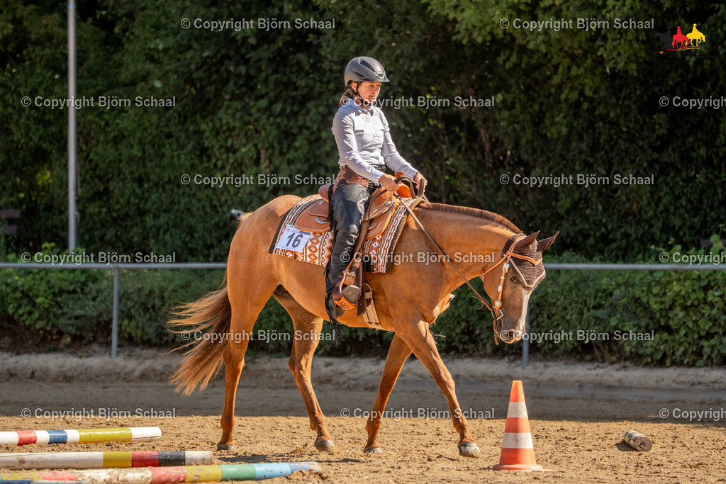 LMS04981 | BS-foto