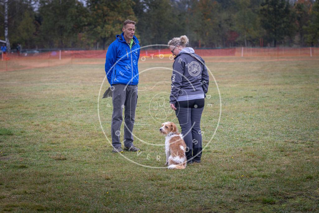Pfotenfotografie_DV3A9177 | Hundefotografie, Tierfotograf, Pfotenfotografie, Fotoshooting Hund, Hunde Portrait, Hundesport, Hundeportraits, Heideshooting, Hunde, Sportfotograf, Hundefotograf, Turnierhundsport, THS,  - Realisiert mit Pictrs.com