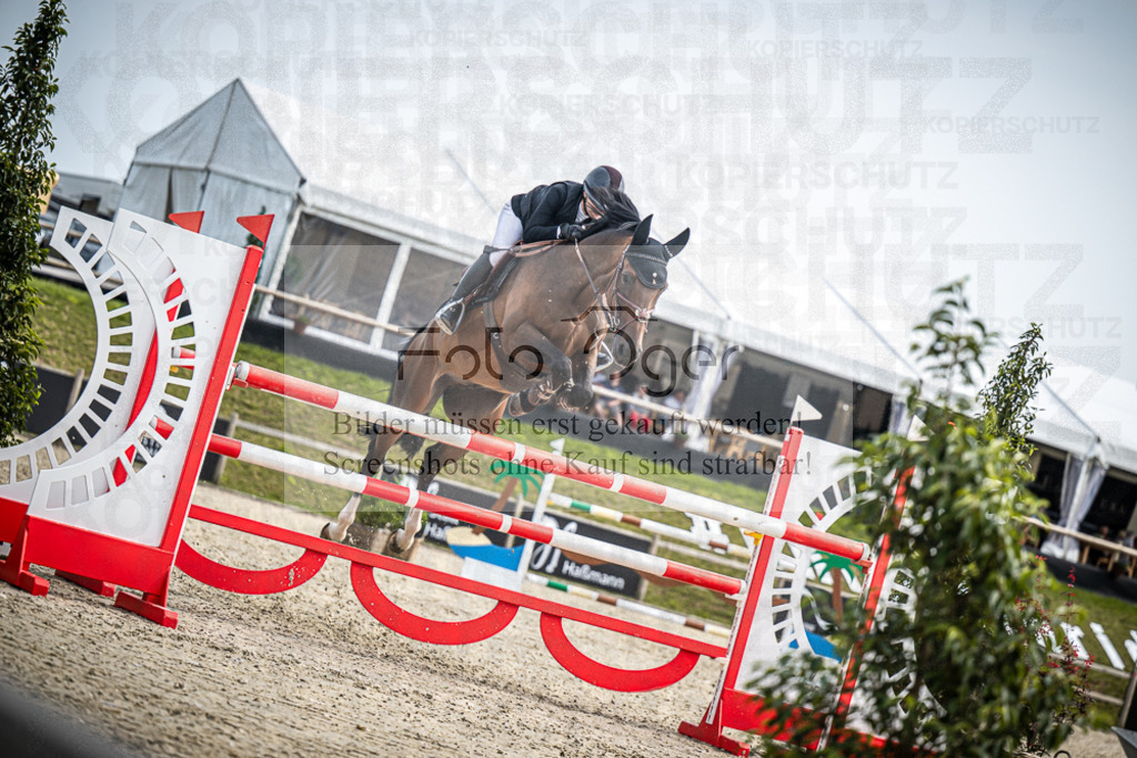 DOS_9814 | Entdecke hochwertige Reitturnierfotos von Foto Oger. Professionell, emotional und authentisch – jetzt Lieblingsmomente im Shop bestellen.Deutschlandweite Turnierfotografie. - Realisiert mit Pictrs.com