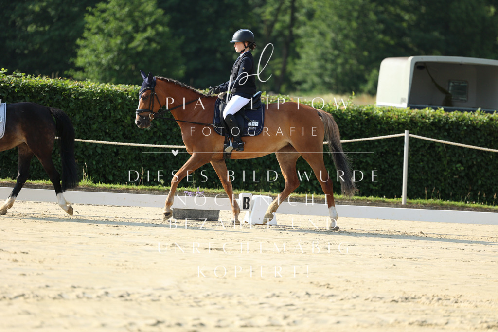 IMGM8448 | pl-fotografie