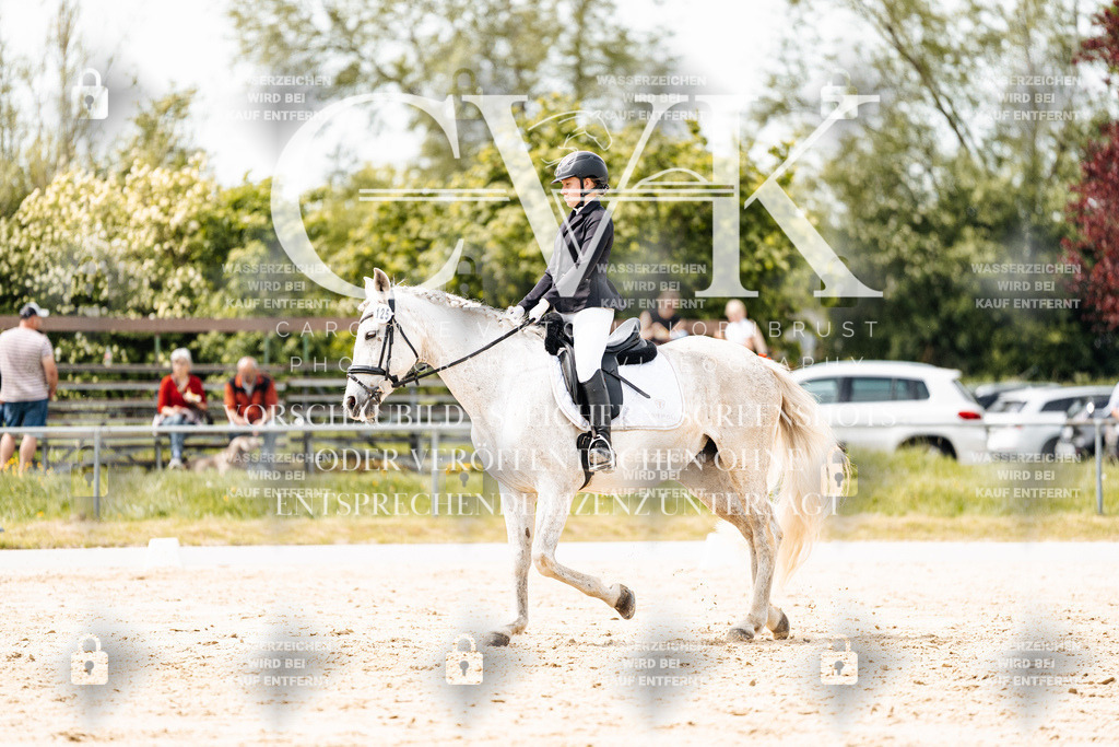 CK902466 | Turnierfotografie Pferdefotografie Trier Rheinland-Pfalz Pferdesport Reitsport Tierfotografie Sportfotografie Pferdevideo Pferdevideografie Equestrianvideography equestrianphotography  - Realisiert mit Pictrs.com