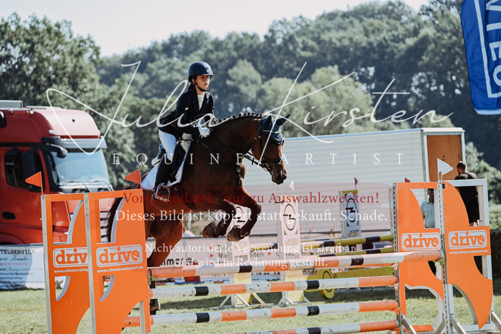 DSC_5551 | Pferde- und Turnierfotografie in Westsachsen. Pferdeportraits, Auftragszeichnungen und intuitive Kunst.