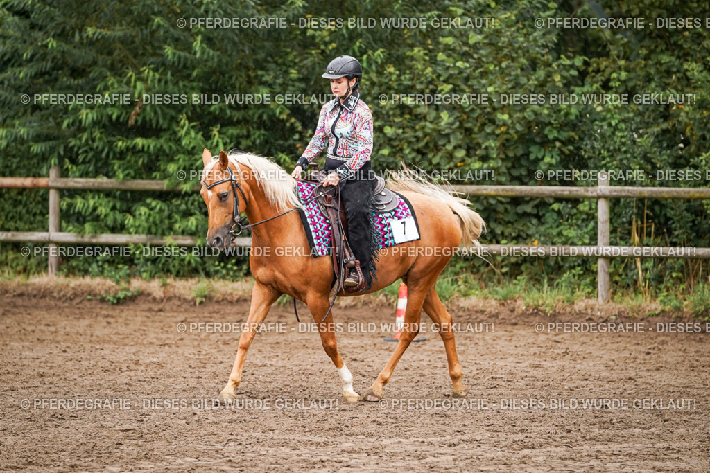 DSC05269 | Pferdegrafie