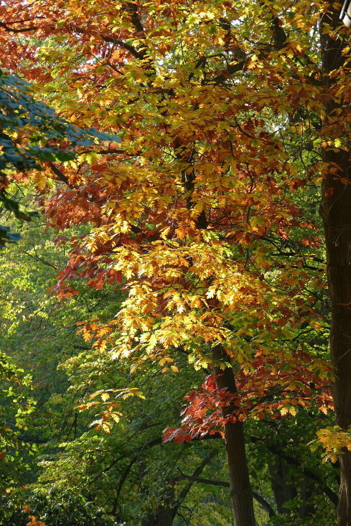 P4020022 | Annaeherungen - Realisiert mit Pictrs.com