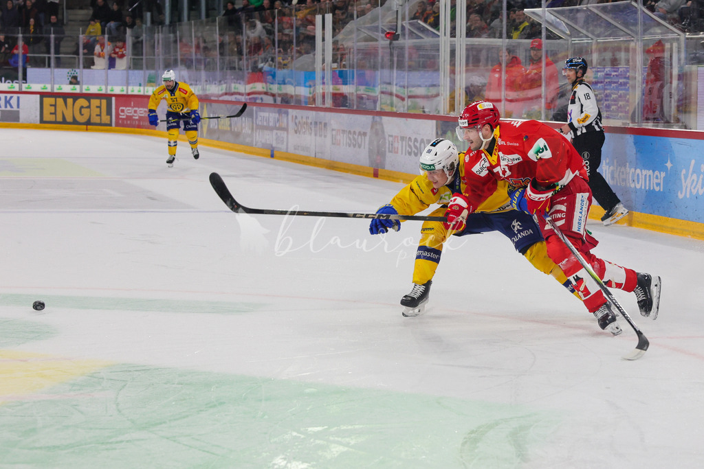 2J4A0132EHCB vs HCD_wb | Sportbilder, Sportfotograf, Hochzeits- und Eventfotografin, Flugshows, Portraits und Tiershooting, Aviation, Downhill, Nationalleague, Swissleague, International