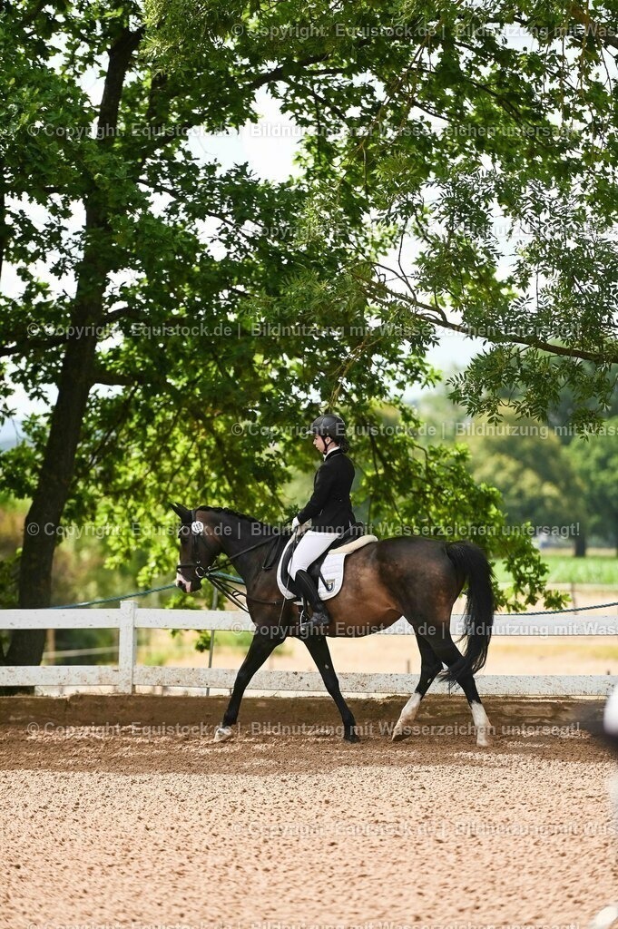 20230716_10-1_Reiter-WB Schritt - Trab - Galopp_0110 | equistock