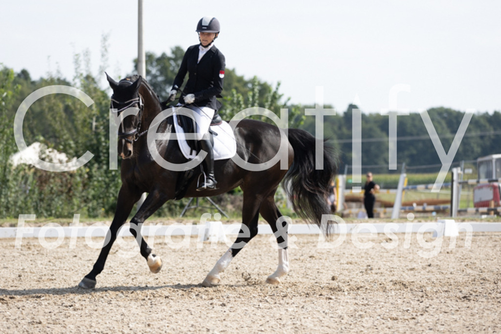 IMG_3526 | Creatify Fotografie