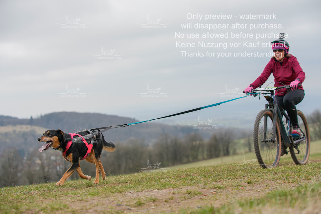 BikeSA-290 | stephaniefillaphotographie - Realisiert mit Pictrs.com