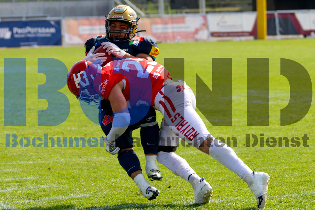 GFL: Potsdam Royals vs. Dresden Monarchs{date} -  | {headline}(Foto: Thomas Sobotzki / BOND) - Realisiert mit Pictrs.com