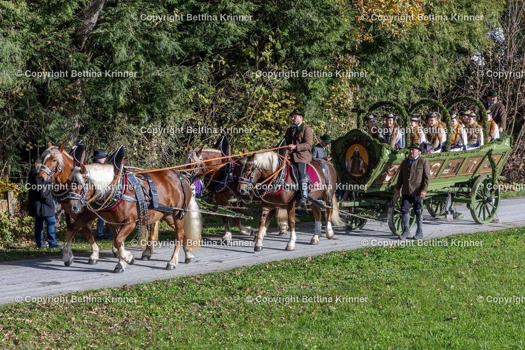 LBT24-721 | foto-bettina-krinner - Realisiert mit Pictrs.com