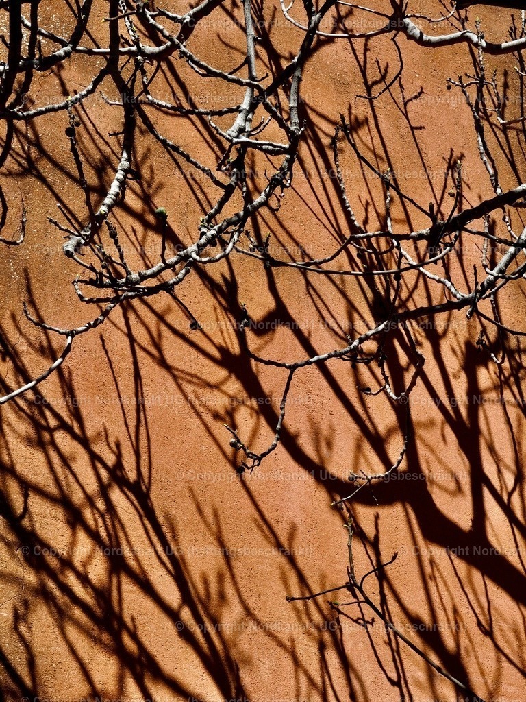 IMG_2993 | OLYMPUS DIGITAL CAMERA          - Realisiert mit Pictrs.com