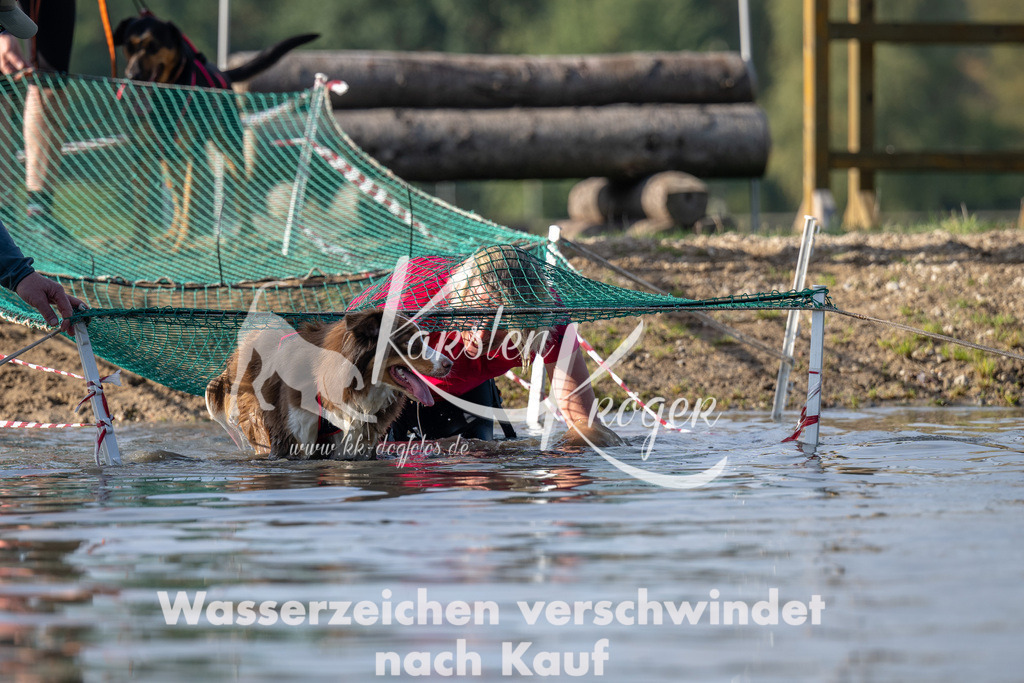 1041_ZZ94722 | kk-dogfotos
