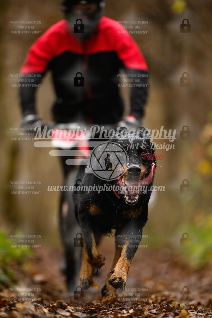 MompixPhotography_Eschau2024_DS1-23 | PayLife