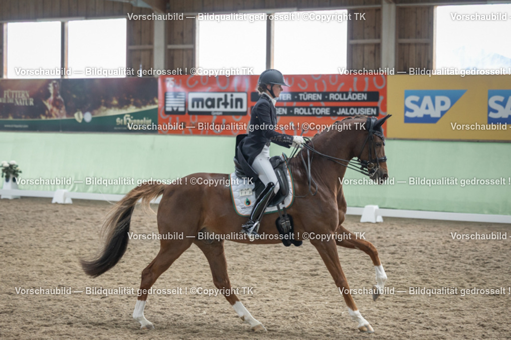 _D5A6450 | Emotionale Pferde- & People-Fotografie rund um Heidelberg, Leimen & Umgebung. Natürliche Fotos von Pferd, Mensch & Familie. Jetzt Termin sichern!