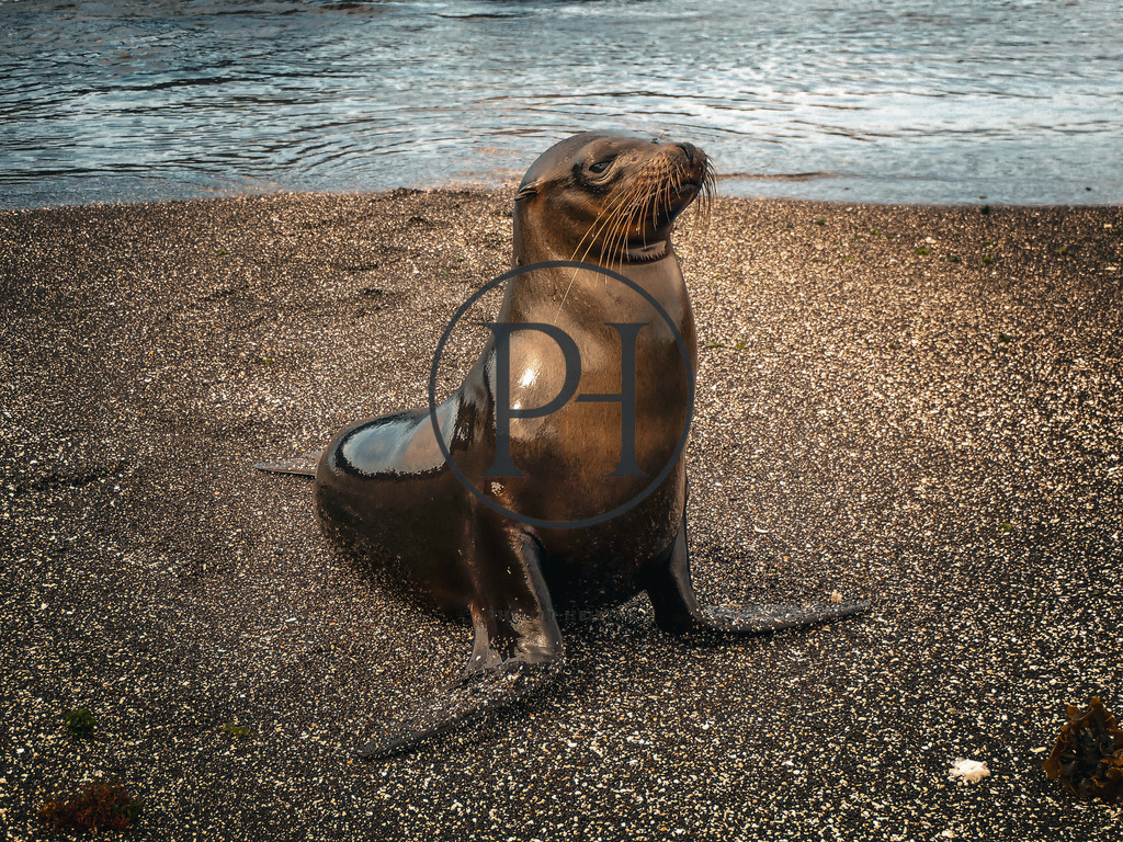 Sommer2024-066 | Philipp-Heist - Realisiert mit Pictrs.com