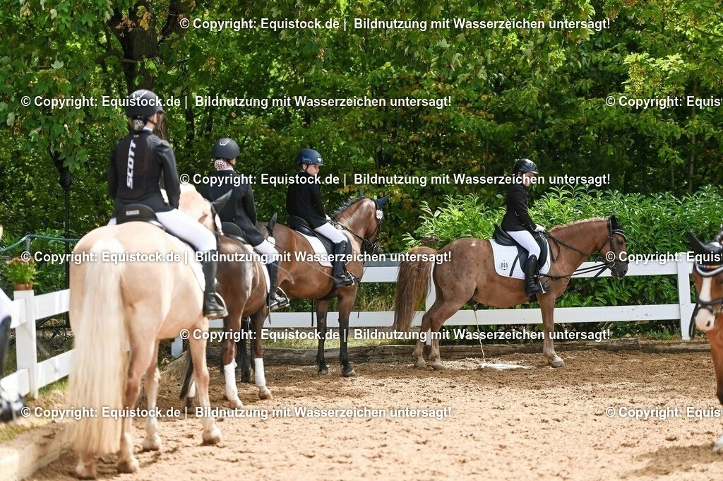 20230716_10-3_Reiter-WB Schritt - Trab - Galopp_0137 | equistock