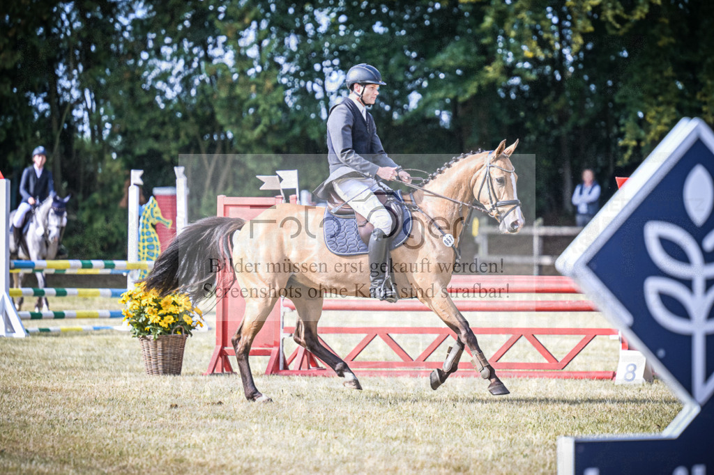 DOS_0451 | Entdecke hochwertige Reitturnierfotos von Foto Oger. Professionell, emotional und authentisch – jetzt Lieblingsmomente im Shop bestellen.Deutschlandweite Turnierfotografie. - Realisiert mit Pictrs.com