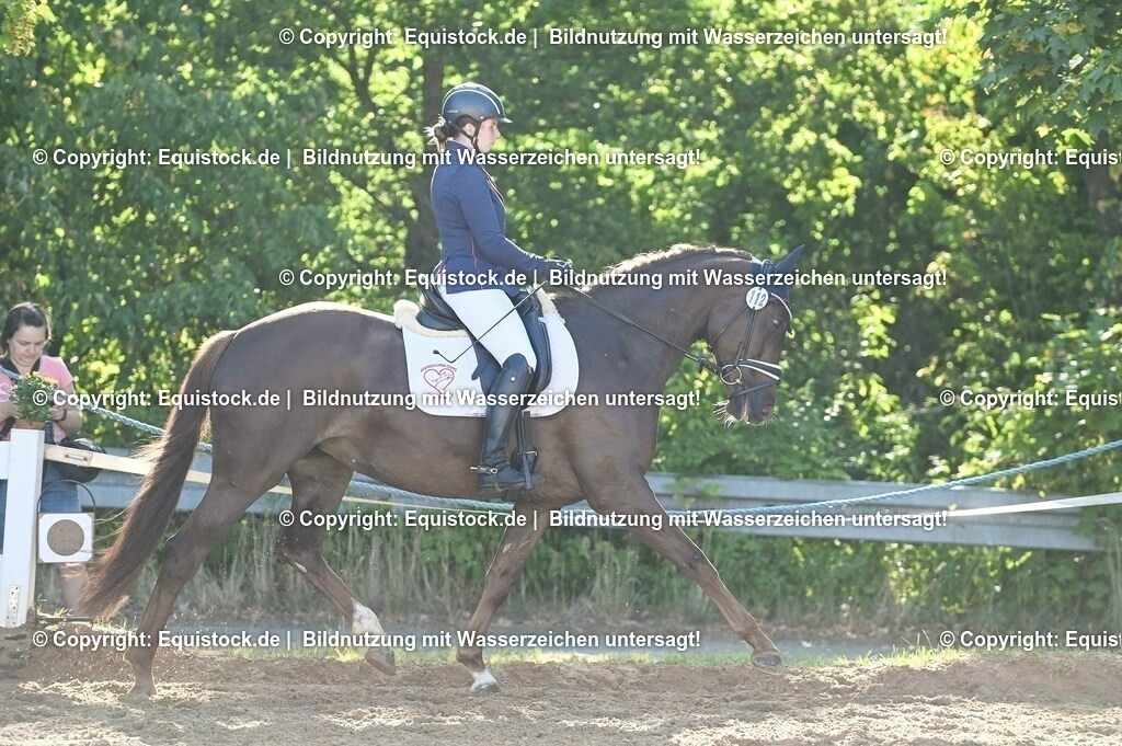 20230715_06_Dressurpferdeprfg. Kl.A_0127 | equistock
