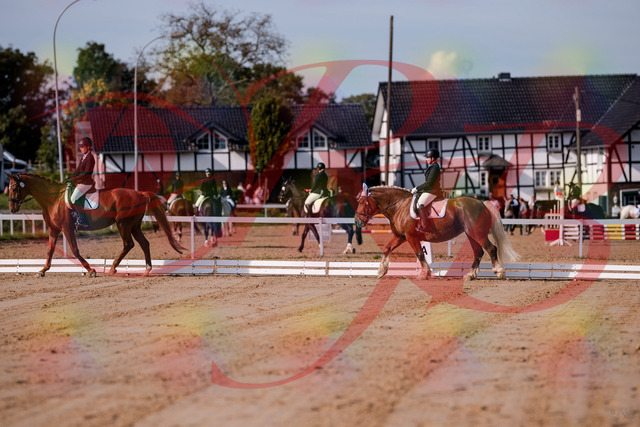 2026_10_03_Siefer-Hof_113959_Z81_82410383 | Professionelle Reitsport-, Turnier- und Eventfotografie von Robert Broda. Galerien mit ausgewählten und bearbeiteten Bildern direkt online ansehen und bestellen.