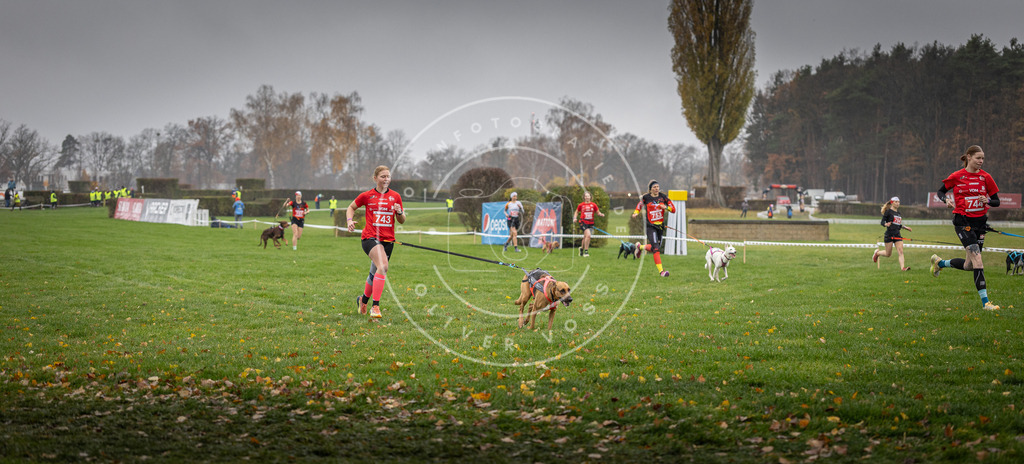 CaniXpix_DV3A8866 | Hundefotografie, Tierfotograf, Pfotenfotografie, Fotoshooting Hund, Hunde Portrait, Hundesport, Hundeportraits, Heideshooting, Hunde, Sportfotograf, Hundefotograf, Turnierhundsport, THS,  - Realisiert mit Pictrs.com