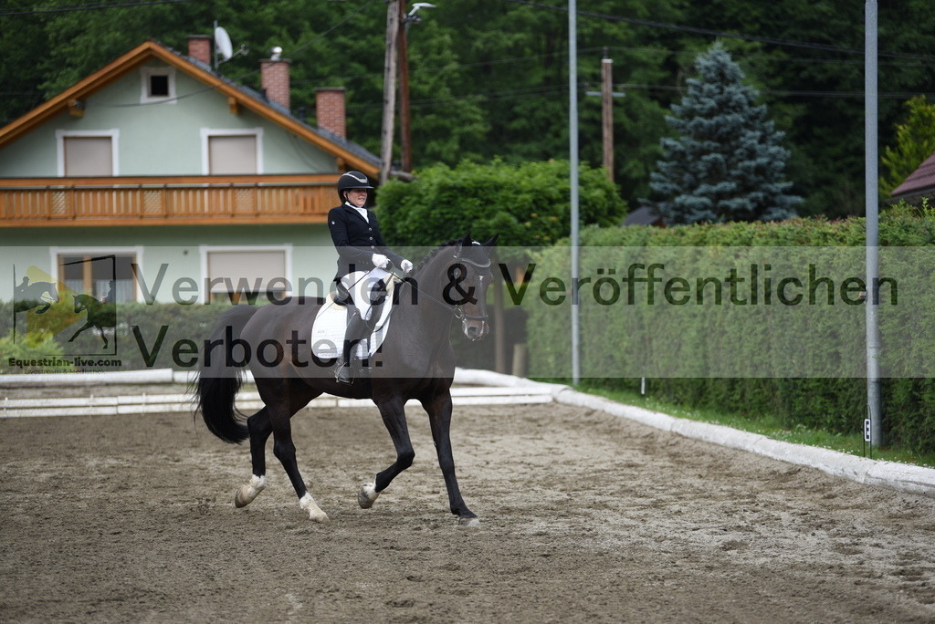 DSC_4629 | equestrian-live-com