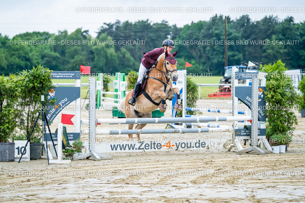 DSC01099 | Pferdegrafie