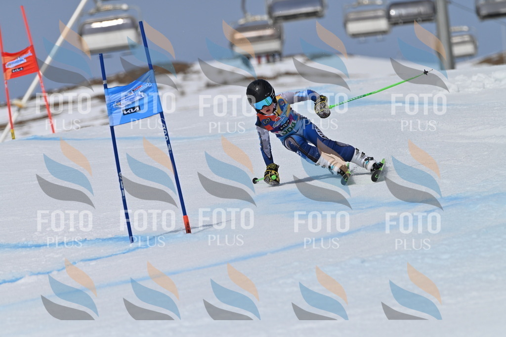 BGV_6120 | holidayphoto