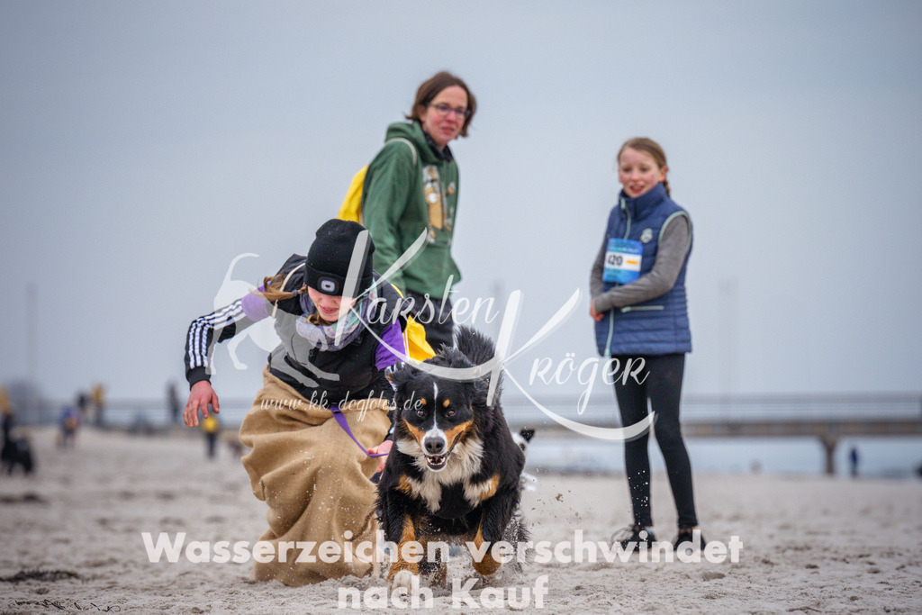 1223_ZZ93896 | kk-dogfotos
