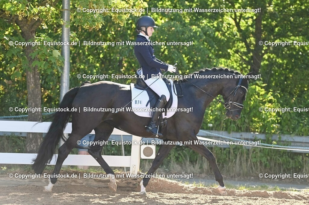20230715_06_Dressurpferdeprfg. Kl.A_0241 | equistock