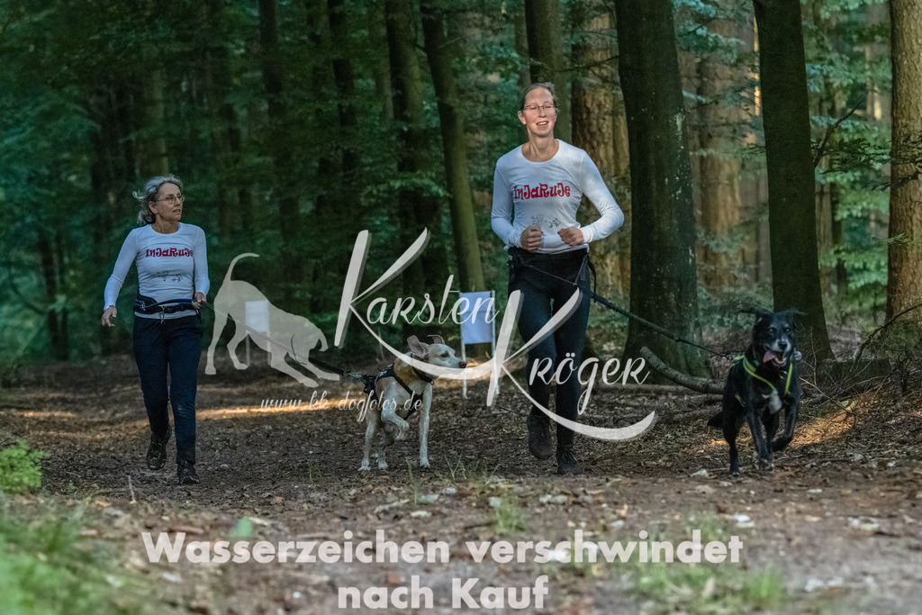 0911_ZZ90505-Bearbeitet | kk-dogfotos
