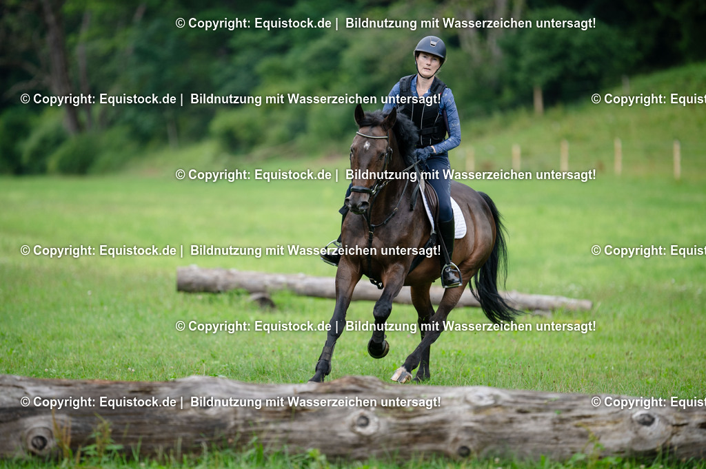 20250725_Vielseitigkeitslehrgang-Marbach_0744 | Foto: Thomas Hartig