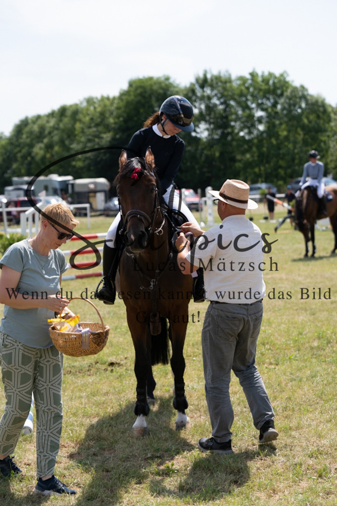 A7V01874 | Pferdefotograf