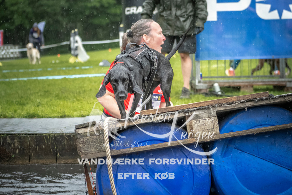 1326_ZZ98388 | kk-dogfotos