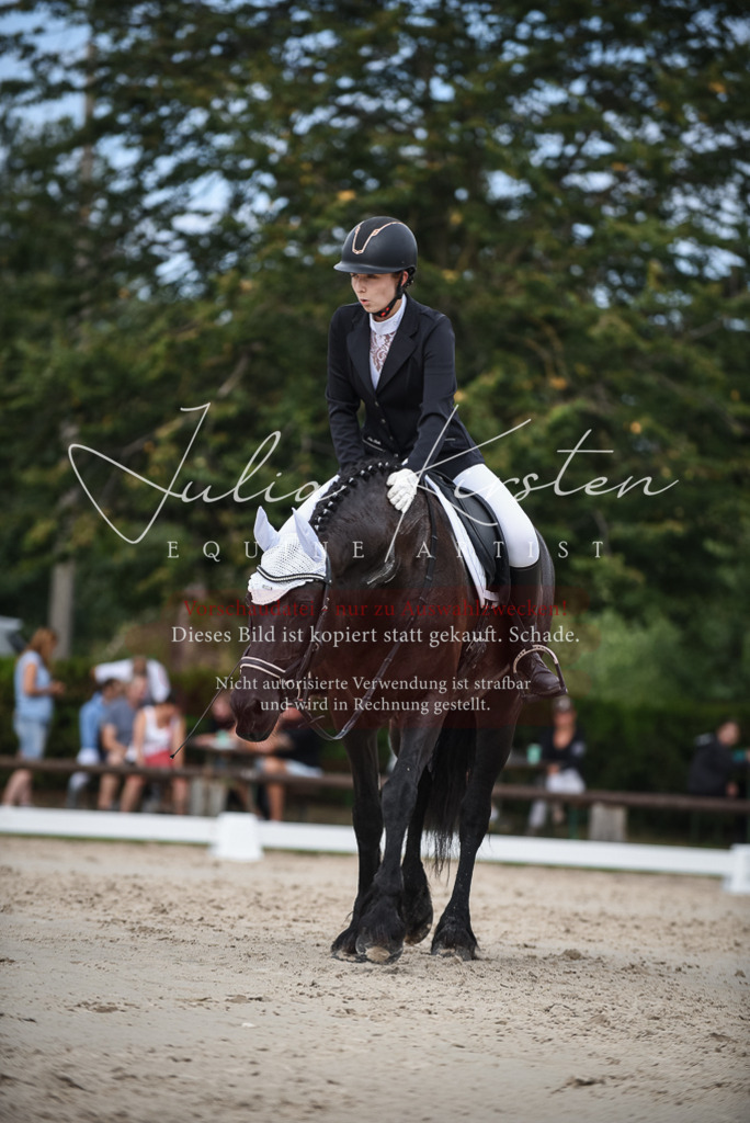 DSC_8618 | Pferde- und Turnierfotografie in Westsachsen. Pferdeportraits, Auftragszeichnungen und intuitive Kunst.