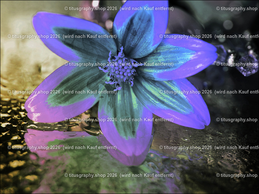 titusgraphy_P9241482_pe-05-vz-ln | titusgraphy-shop: Geschenkideen mit Qualitätsfotos. titusgraphy-shop: gift ideas with quality photos. titusgraphy-shop: idées cadeaux avec photos de qualité.  - Realisiert mit Pictrs.com