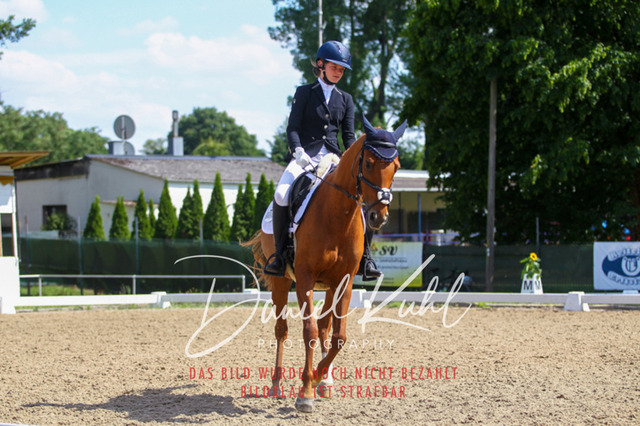 DKP42744 | Turniersportfotografie; Pferdefotografie; Dressurfotografie